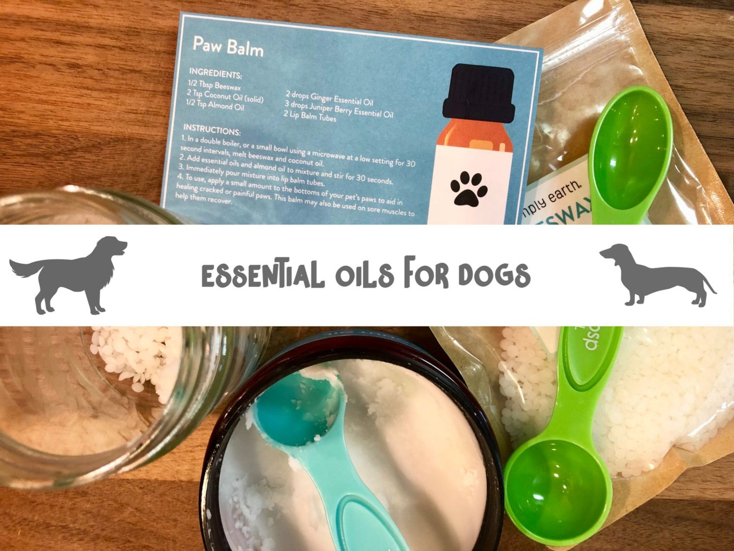 Friday Favorites #149- Pets and Essential Oils Edition